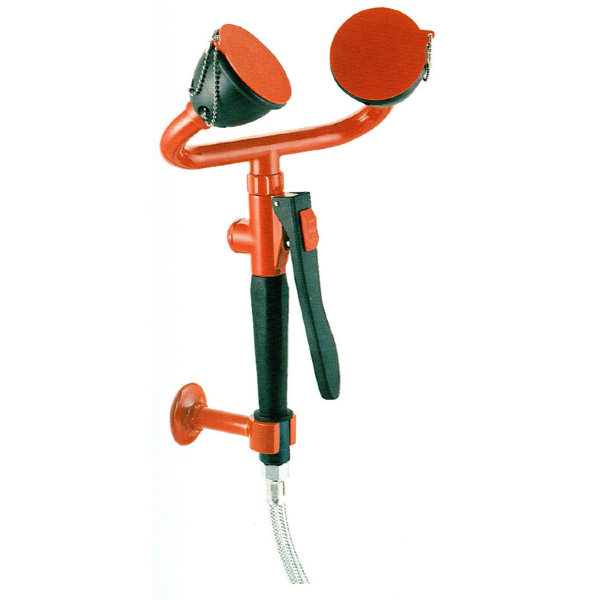 Настенный аварийный душ для глаз TOF двойной, установка вертикально, выпуск с наклоном 45 градусов (1100/42)